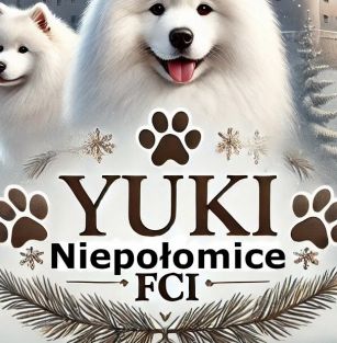 Yuki Niepolomice