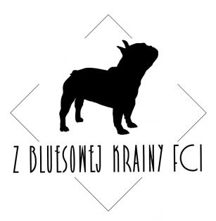 Z Bluesowej Krainy FCI