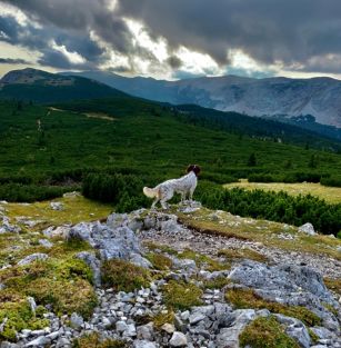 z Budišovské doliny