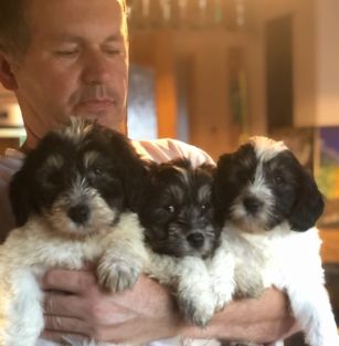 Z Doliny Koscieliskiej Fci