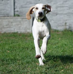 z Garbu Księżej Góry