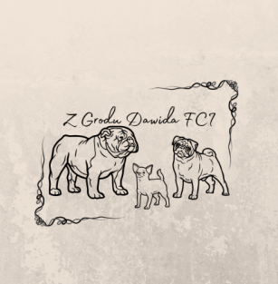 Z Grodu Dawida FCI 