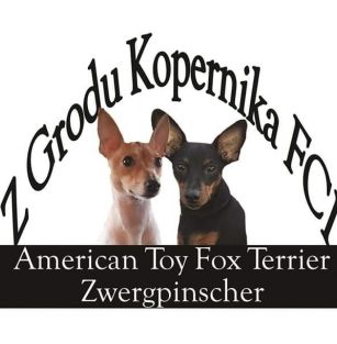 Z Grodu Kopernika FCI 