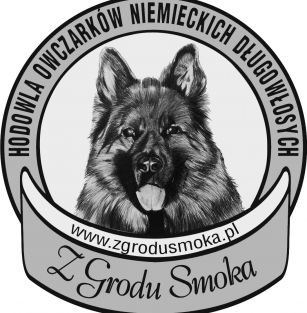 z Grodu Smoka