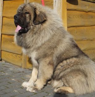 Z JASTRZĘBIEJ GÓRY