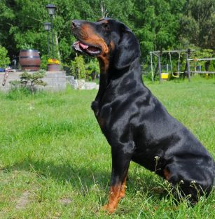 Z Kampinoskiego Matecznika