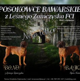 z Leśnego Zamczyska