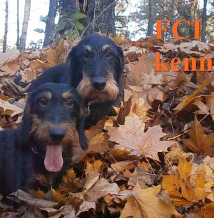 z Łobuzerskiej Ferajny