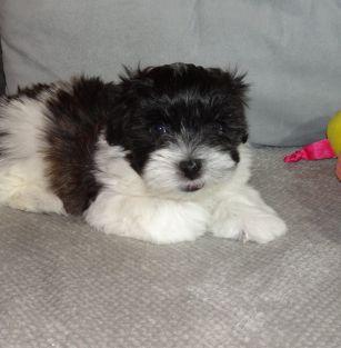 Z Michałowej Łąki