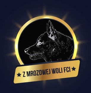 z Mrozowej Woli FCI