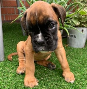 Z Nakielskiego Brodu