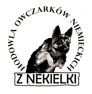 Z Nekielki