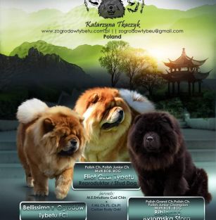 z Ogrodów Tybetu FCI 