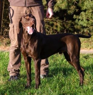 Z Rajskiego Wzgórza 