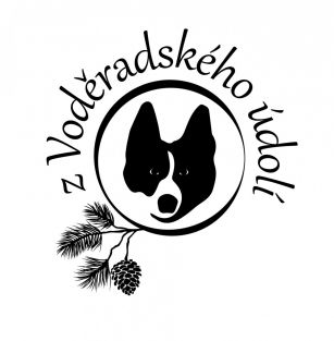 z Voděradského údolí