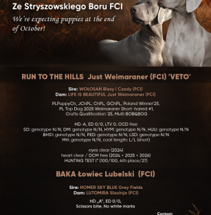 ze Stryszowskiego Boru FCI