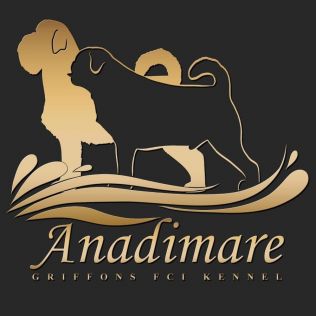 Anadimare 