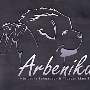 Arbenika