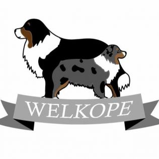 Aussie Welkope FCI