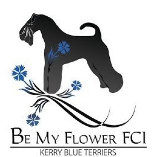 Be My Flower FCI