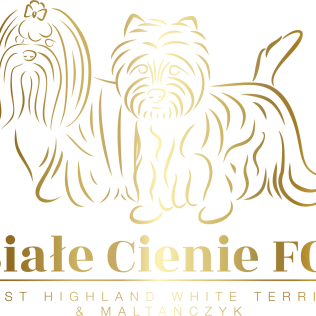 Białe Cienie