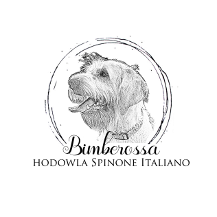 Bimberossa