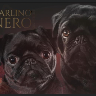Carlino Nero