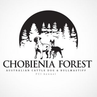 Chobienia Forest 