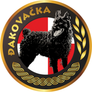 Đakovačka