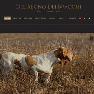 Del Regno Dei Bracchi