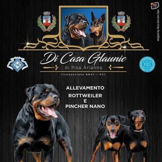 Di casa Glaunic