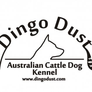 Dingo Dust