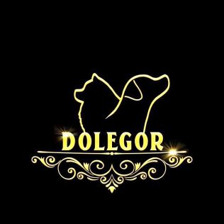 Dolegor