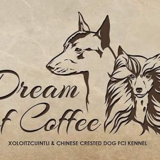 Dream Of Coffee FCI