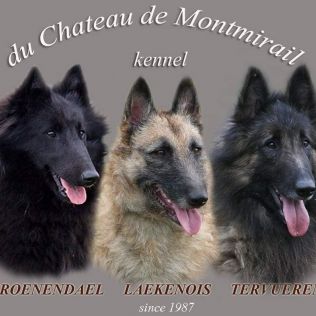 du Chateau de Montmirail