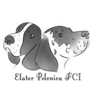 Elater Polonica FCI