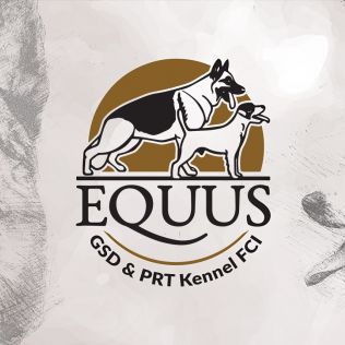 Equus