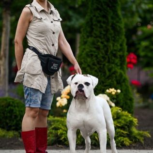 from the Empire of White Angel