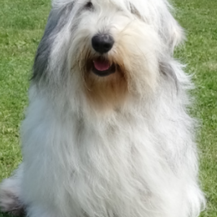 Futrzaki Bałtyku FCI