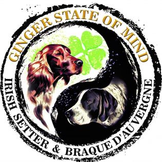 Ginger State of Mind