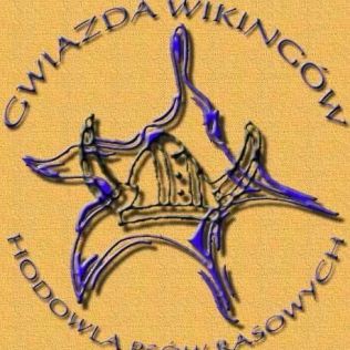 Gwiazda Wikingów 