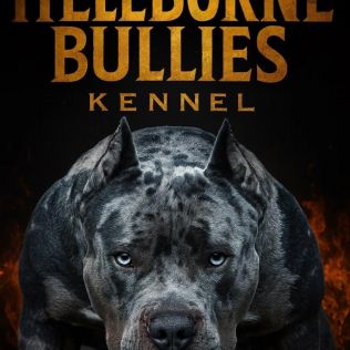 Hellborne bullies kennel 