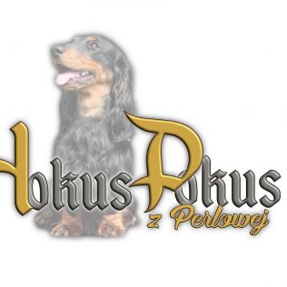 Hokus Pokus z Perłowej