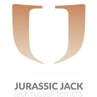 JURASSIC JACK FCI 