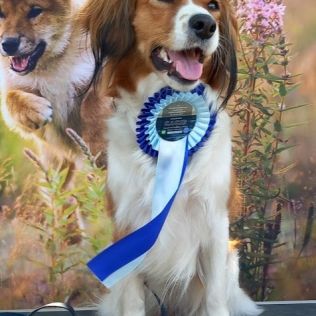 Karuzela Uśmiechu FCI