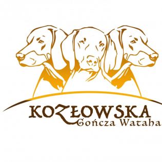 Kozłowska Gończa Wataha FCI 