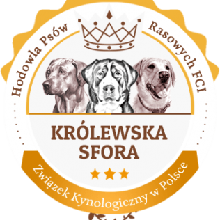 Królewska Sfora FCI