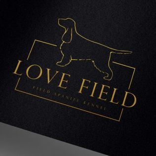 Love Field