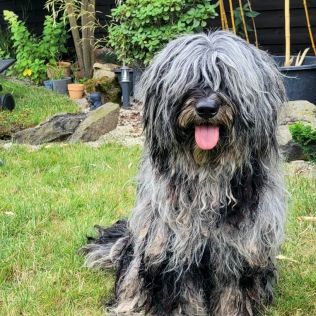 Bellezze di Confluentes 