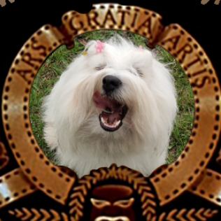 Lwie Serce z Międzylesia